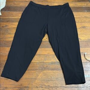 Eileen Fisher black high waist tap ankle pant Women’s 1X